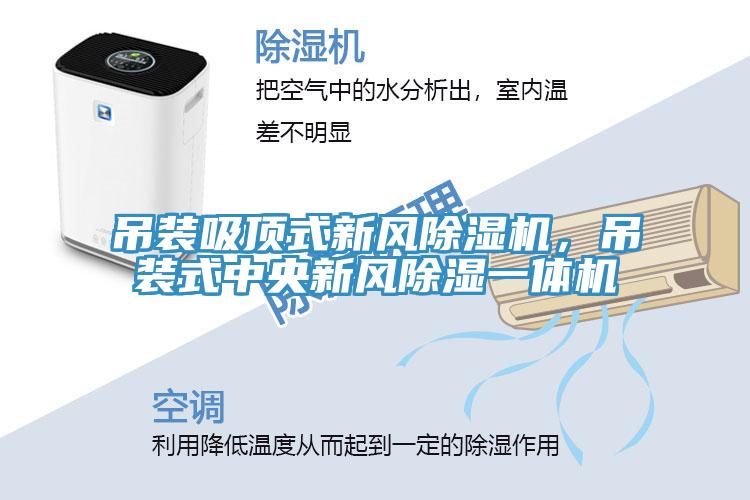 吊裝吸頂式新風除濕機，吊裝式中央新風除濕一體機