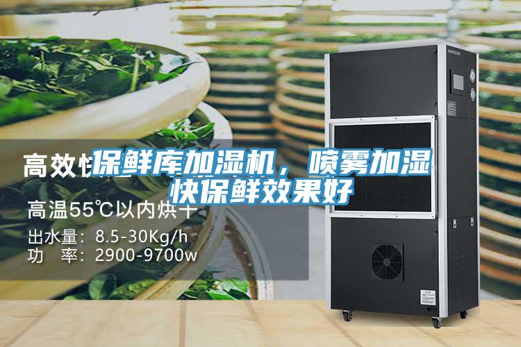 保鮮庫加濕機，噴霧加濕快保鮮效果好