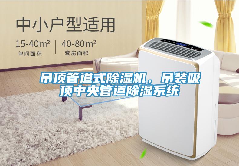 吊頂管道式除濕機(jī)，吊裝吸頂中央管道除濕系統(tǒng)