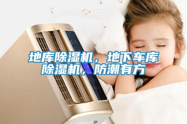 地庫(kù)除濕機(jī)，地下車(chē)庫(kù)除濕機(jī)，防潮有方