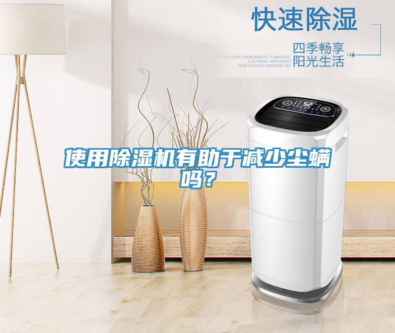 使用除濕機有助于減少塵螨嗎？