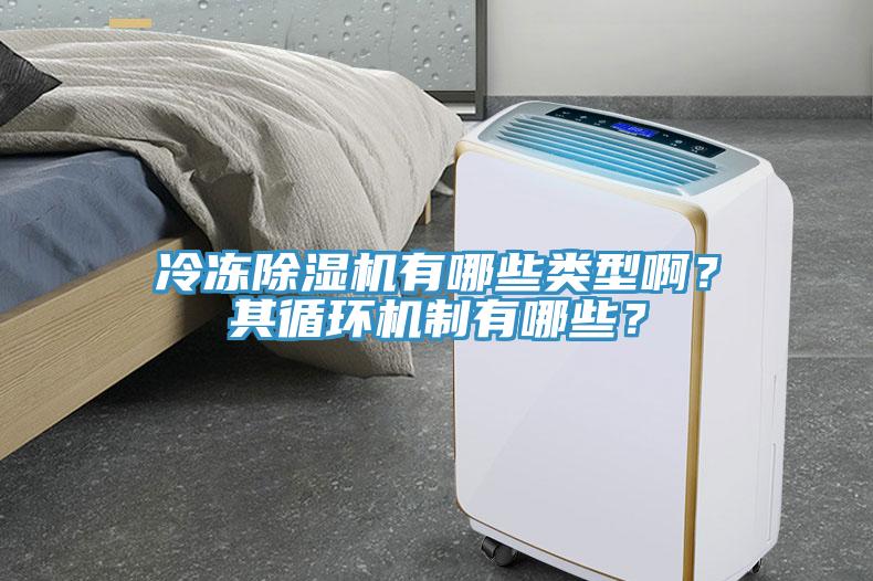 冷凍除濕機有哪些類型??？其循環(huán)機制有哪些？