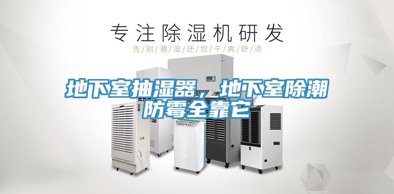 地下室抽濕器，地下室除潮防霉全靠它