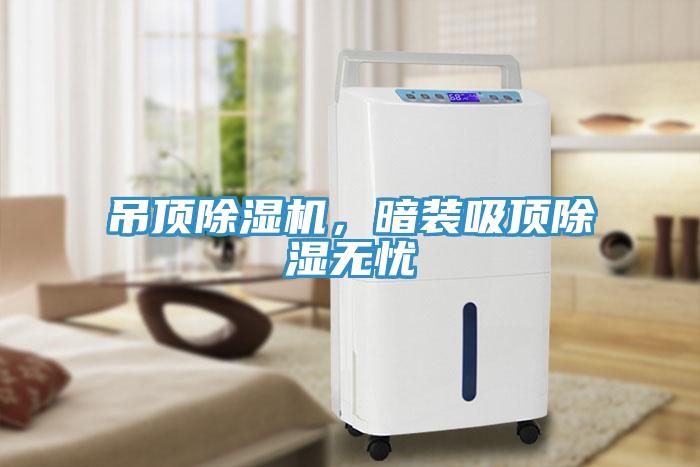 吊頂除濕機(jī)，暗裝吸頂除濕無憂