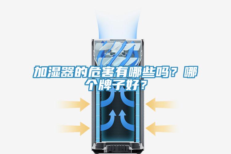 加濕器的危害有哪些嗎？哪個牌子好？
