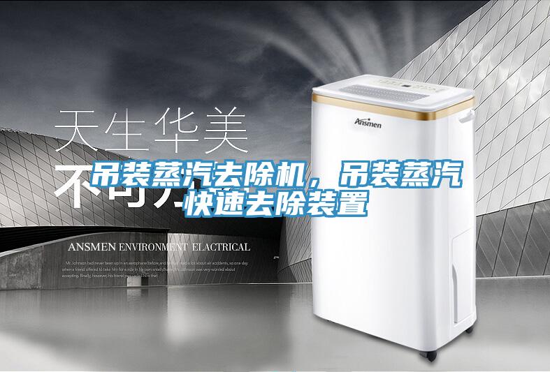 吊裝蒸汽去除機，吊裝蒸汽快速去除裝置