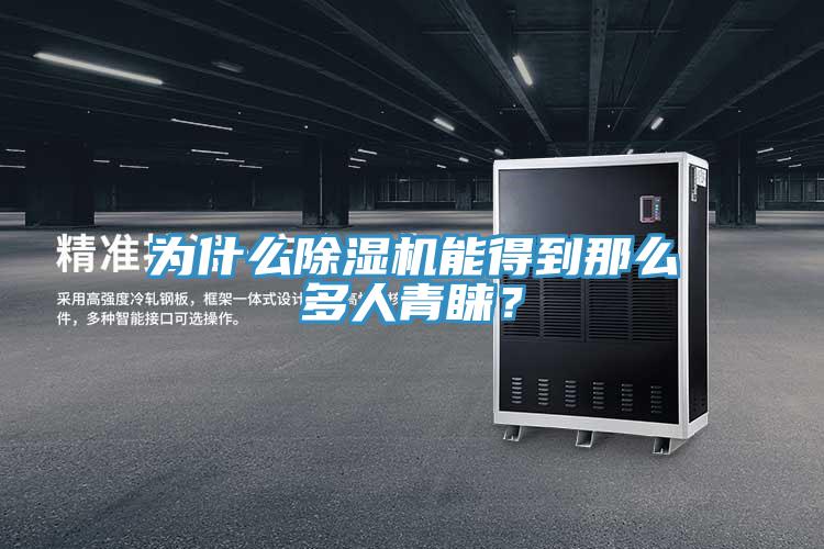 為什么除濕機(jī)能得到那么多人青睞？