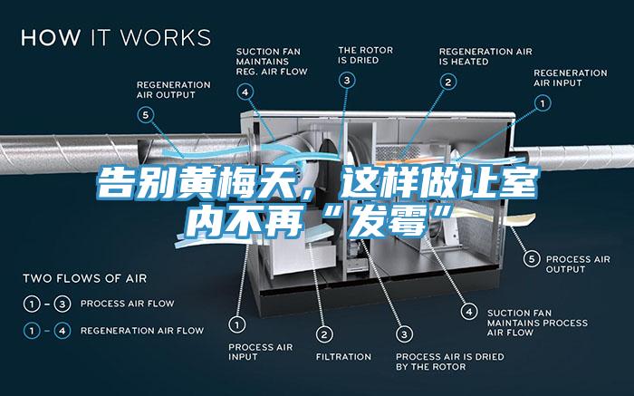 告別黃梅天，這樣做讓室內(nèi)不再“發(fā)霉”