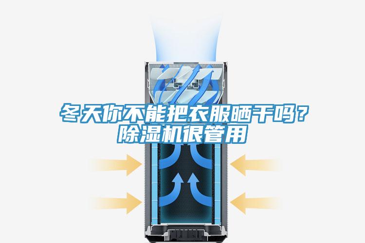 冬天你不能把衣服曬干嗎？除濕機很管用