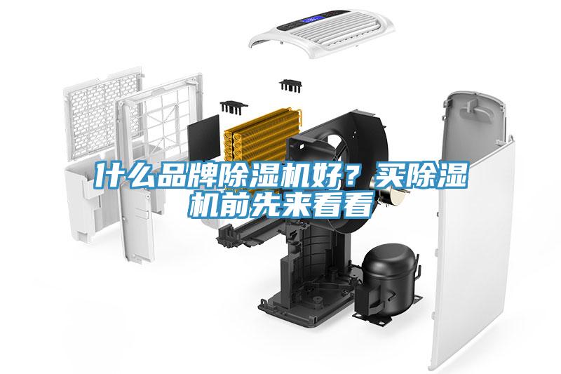 什么品牌除濕機好？買除濕機前先來看看
