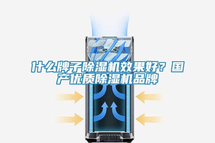 什么牌子除濕機(jī)效果好？國產(chǎn)優(yōu)質(zhì)除濕機(jī)品牌