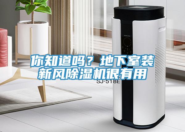 你知道嗎？地下室裝新風(fēng)除濕機(jī)很有用