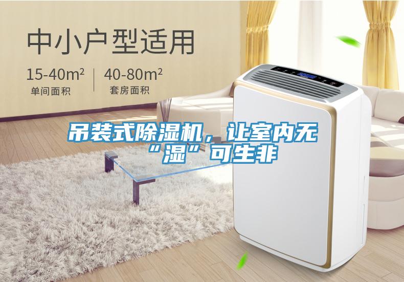 吊裝式除濕機，讓室內(nèi)無“濕”可生非