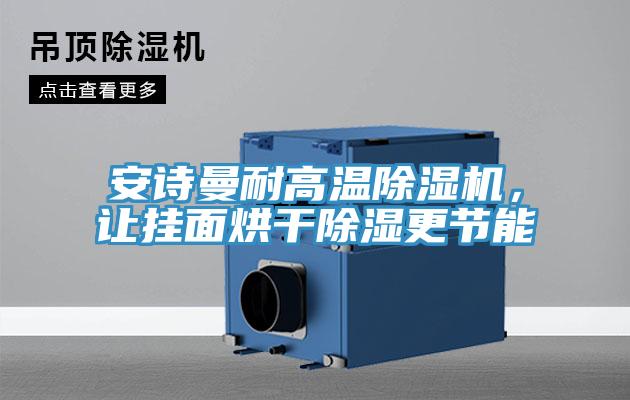 安詩曼耐高溫除濕機，讓掛面烘干除濕更節(jié)能