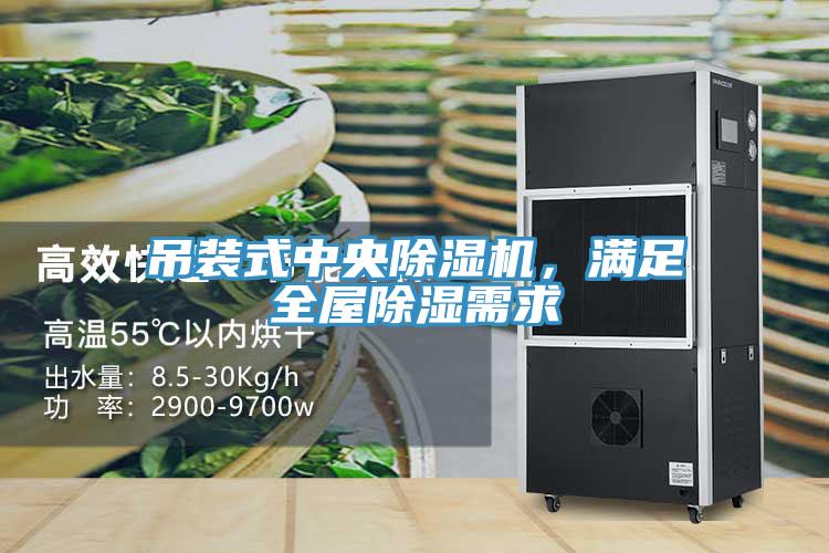 吊裝式中央除濕機，滿足全屋除濕需求