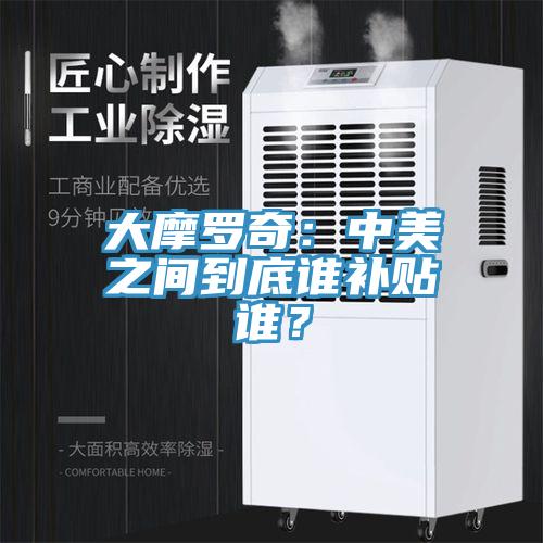 大摩羅奇：中美之間到底誰補貼誰？