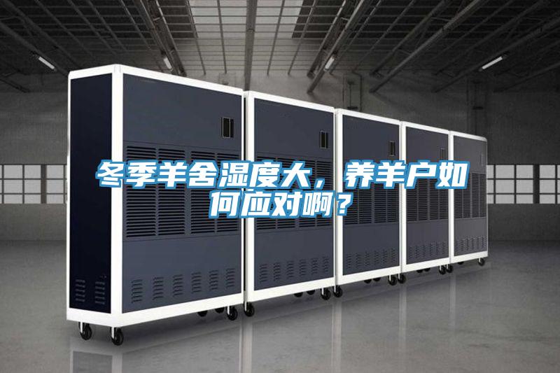 冬季羊舍濕度大，養(yǎng)羊戶如何應(yīng)對(duì)??？