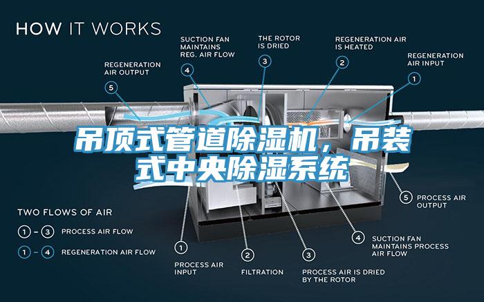 吊頂式管道除濕機，吊裝式中央除濕系統(tǒng)
