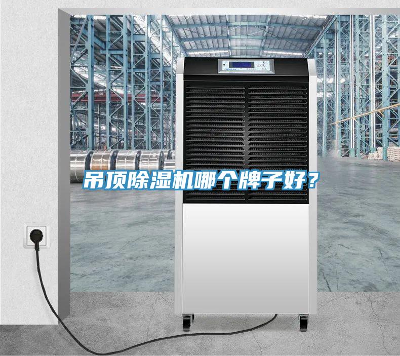 吊頂除濕機(jī)哪個牌子好？
