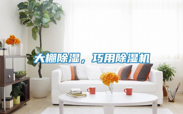 大棚除濕，巧用除濕機(jī)