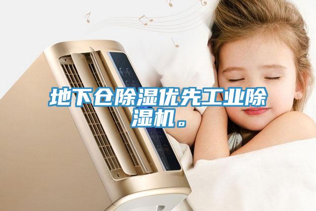 地下倉(cāng)除濕優(yōu)先工業(yè)除濕機(jī)。