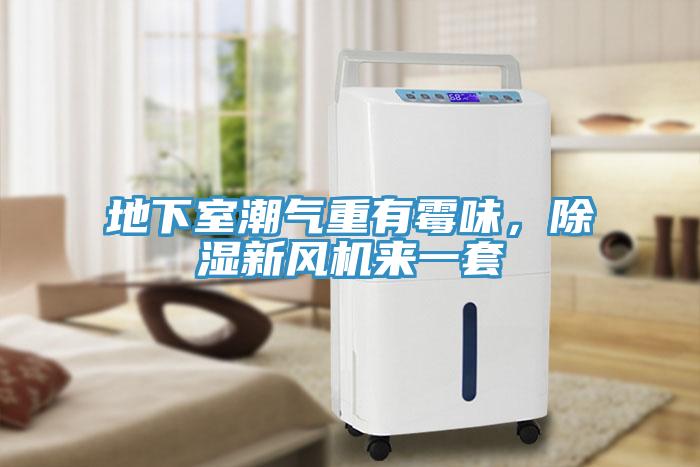 地下室潮氣重有霉味，除濕新風機來一套