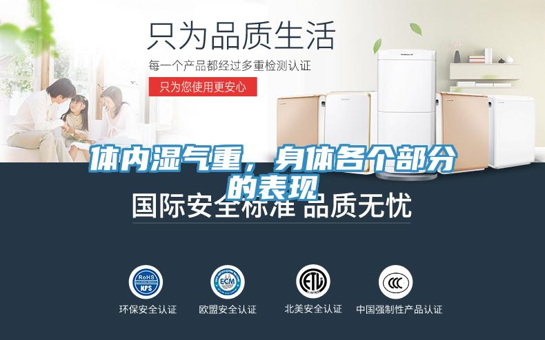 體內濕氣重，身體各個部分的表現(xiàn)