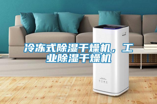 冷凍式除濕干燥機(jī)，工業(yè)除濕干燥機(jī)