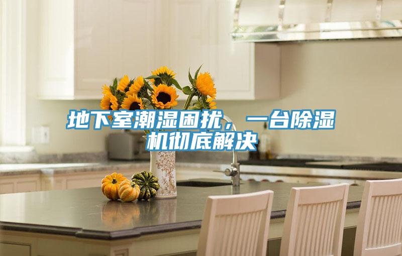 地下室潮濕困擾，一臺除濕機徹底解決