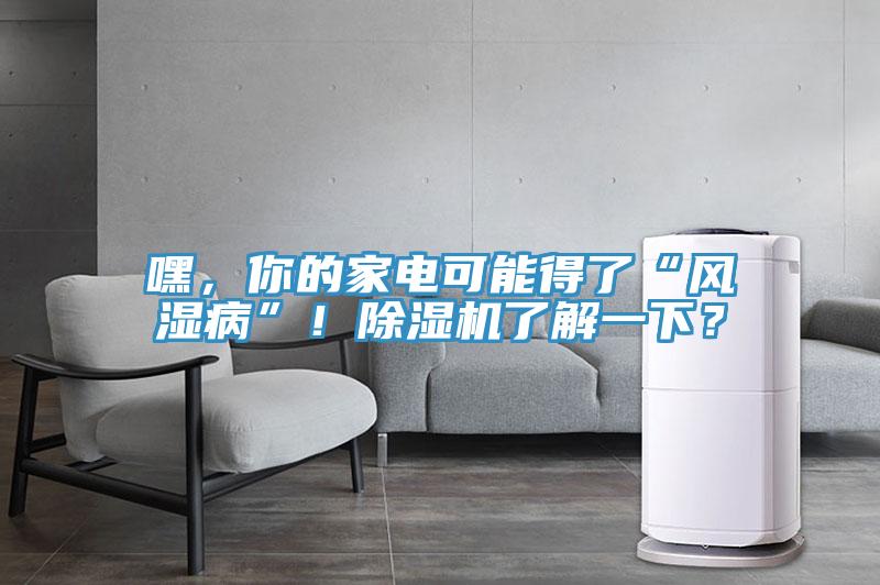 嘿，你的家電可能得了“風濕病”！除濕機了解一下？