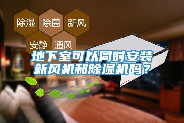地下室可以同時安裝新風機和除濕機嗎？