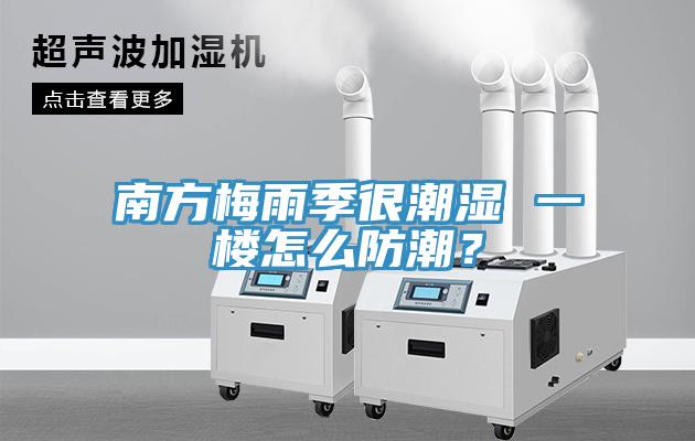 南方梅雨季很潮濕 一樓怎么防潮？
