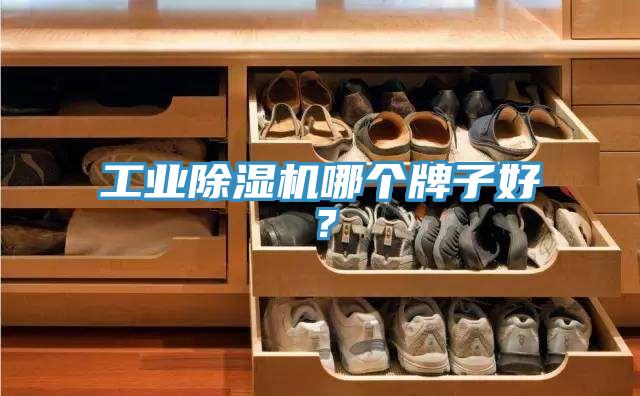 工業(yè)除濕機(jī)哪個(gè)牌子好？