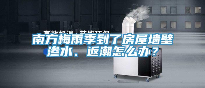 南方梅雨季到了房屋墻壁滲水、返潮怎么辦？