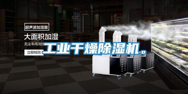 工業(yè)干燥除濕機(jī)。