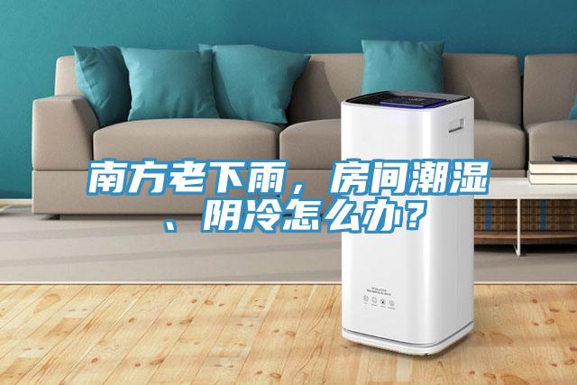 南方老下雨，房間潮濕、陰冷怎么辦？