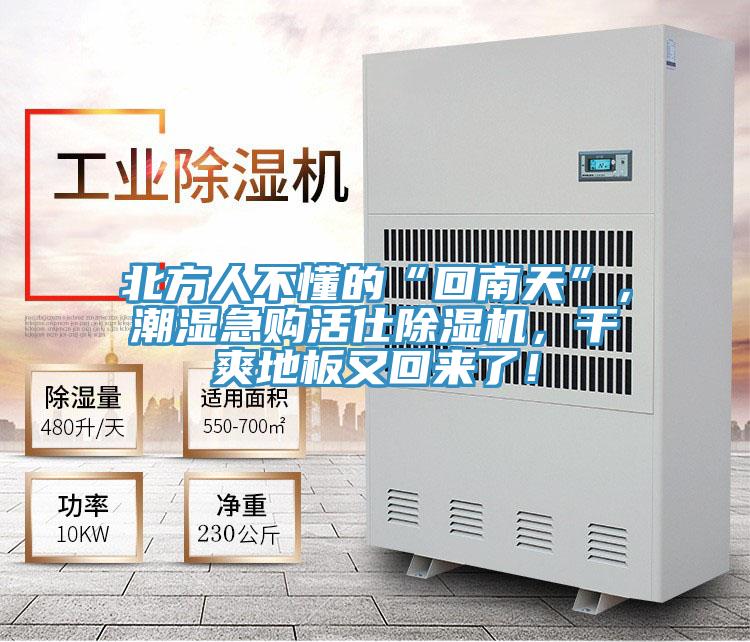 北方人不懂的“回南天”，潮濕急購(gòu)活仕除濕機(jī)，干爽地板又回來(lái)了！