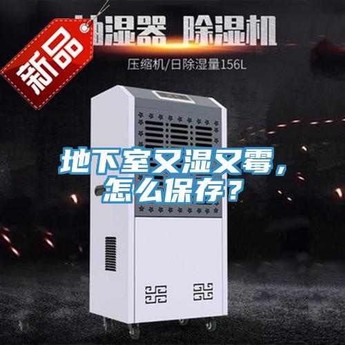 地下室又濕又霉，怎么保存？