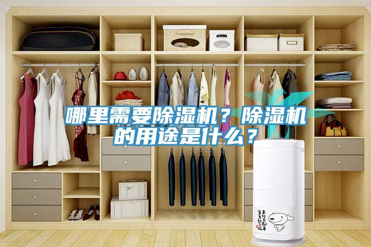 哪里需要除濕機？除濕機的用途是什么？