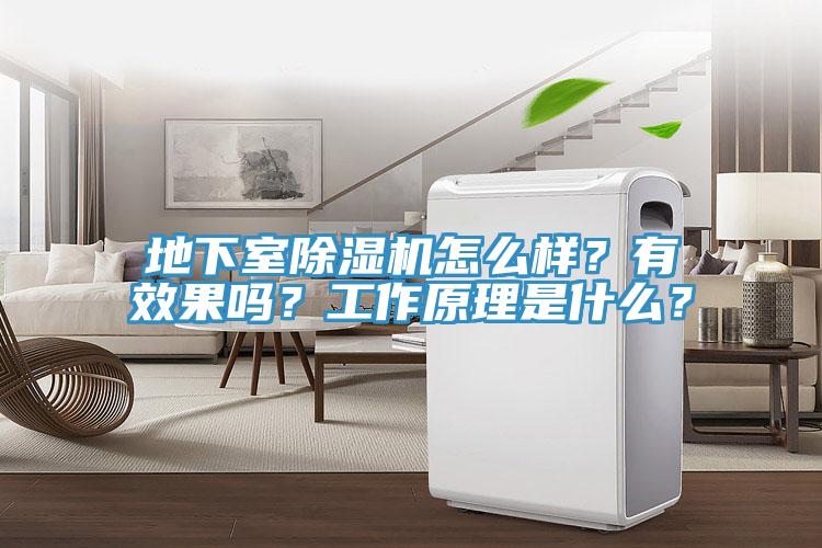 地下室除濕機(jī)怎么樣？有效果嗎？工作原理是什么？