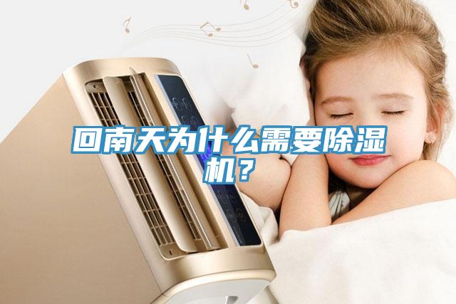 回南天為什么需要除濕機？