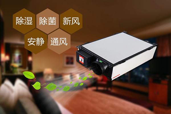 廈門除濕機怎么選？