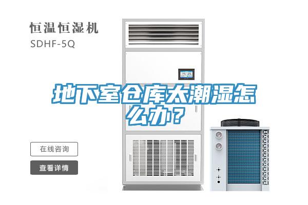 地下室倉(cāng)庫(kù)太潮濕怎么辦？