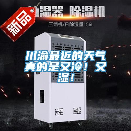 川渝最近的天氣真的是又冷！又濕！
