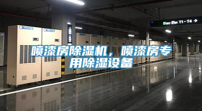 噴漆房除濕機(jī)，噴漆房專用除濕設(shè)備