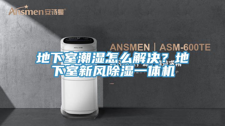 地下室潮濕怎么解決？地下室新風(fēng)除濕一體機(jī)