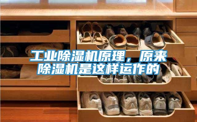 工業(yè)除濕機原理，原來除濕機是這樣運作的