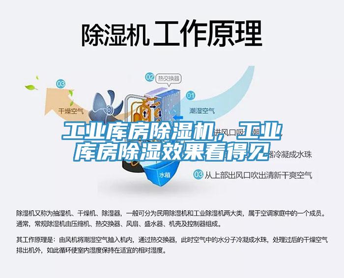 工業(yè)庫房除濕機，工業(yè)庫房除濕效果看得見
