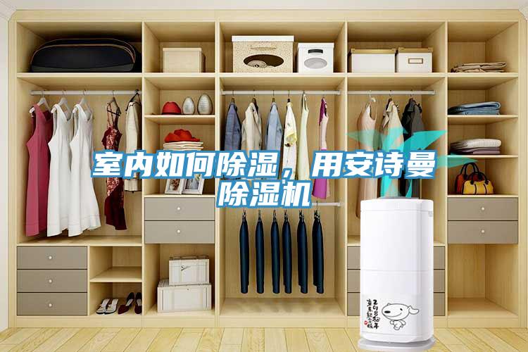 室內(nèi)如何除濕，用安詩曼除濕機(jī)