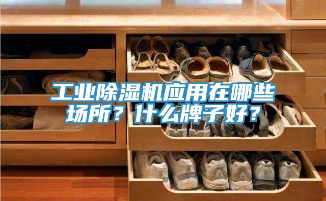 工業(yè)除濕機應(yīng)用在哪些場所？什么牌子好？